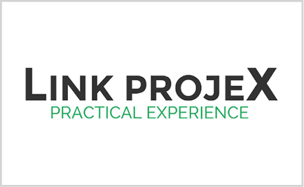 Logo Link-ProjeX