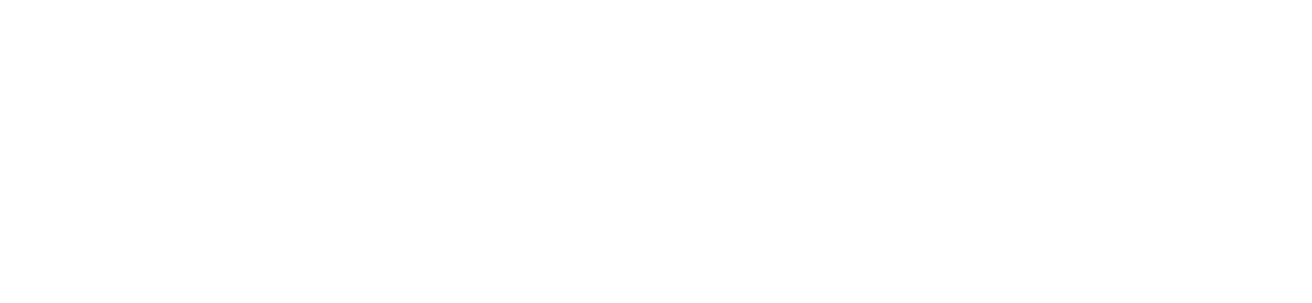 Anegoica Studio