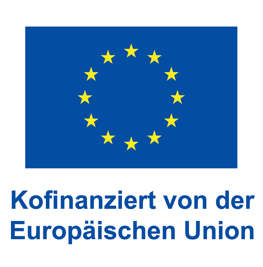 ESF+ Logo Kofinanziert von der Europäischen Union, vertikal